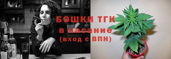 шишки Кулебаки