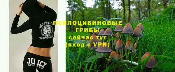 шишки Кулебаки
