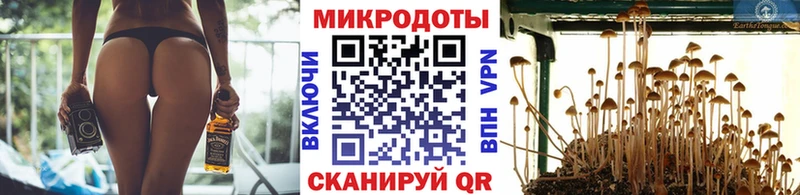 где купить наркотик  Починок  Псилоцибиновые грибы GOLDEN TEACHER 